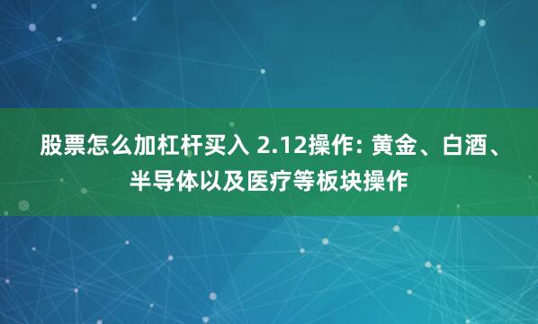 股票怎么加杠杆买入 2.12操作: 黄金、白酒、半导体以及医疗等板块操作