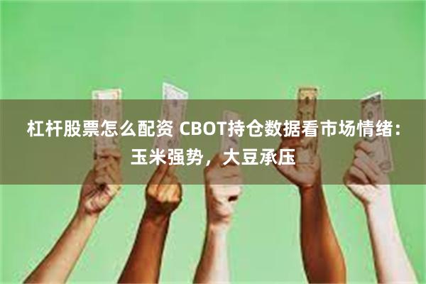 杠杆股票怎么配资 CBOT持仓数据看市场情绪：玉米强势，大豆承压