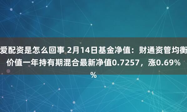 爱配资是怎么回事 2月14日基金净值：财通资管均衡价值一年持有期混合最新净值0.7257，涨0.69%