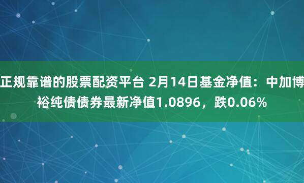 正规靠谱的股票配资平台 2月14日基金净值：中加博裕纯债债券最新净值1.0896，跌0.06%