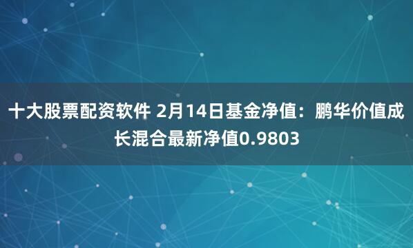 十大股票配资软件 2月14日基金净值：鹏华价值成长混合最新净值0.9803