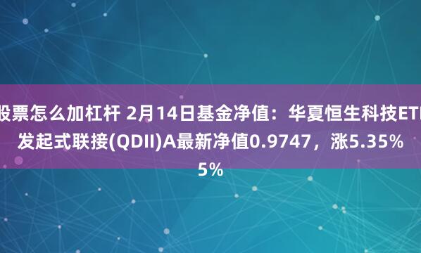 股票怎么加杠杆 2月14日基金净值：华夏恒生科技ETF发起式联接(QDII)A最新净值0.9747，涨5.35%