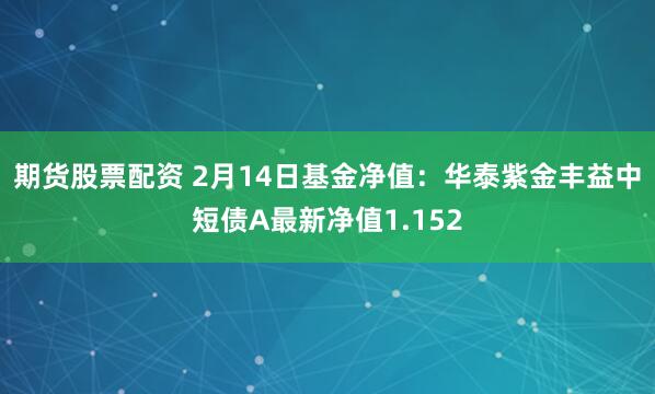 期货股票配资 2月14日基金净值：华泰紫金丰益中短债A最新净值1.152