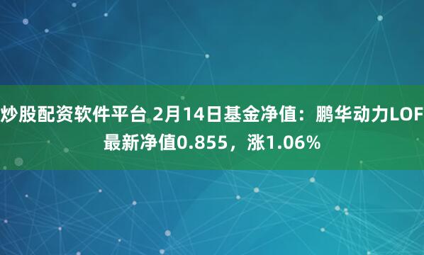 炒股配资软件平台 2月14日基金净值：鹏华动力LOF最新净值0.855，涨1.06%