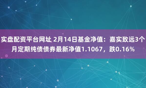 实盘配资平台网址 2月14日基金净值：嘉实致远3个月定期纯债债券最新净值1.1067，跌0.16%