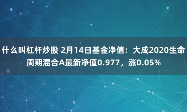 什么叫杠杆炒股 2月14日基金净值：大成2020生命周期混合A最新净值0.977，涨0.05%