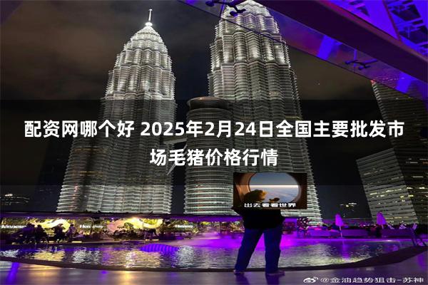 配资网哪个好 2025年2月24日全国主要批发市场毛猪价格行情