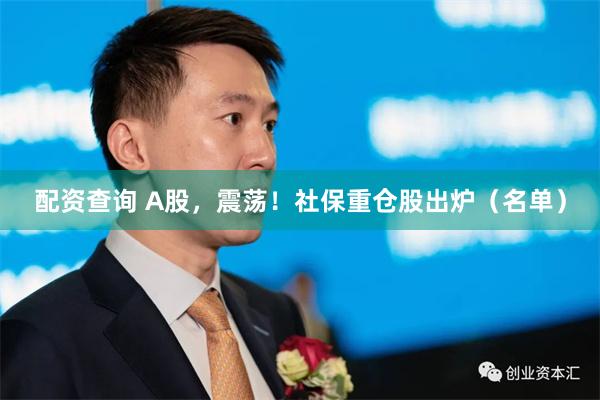 配资查询 A股，震荡！社保重仓股出炉（名单）