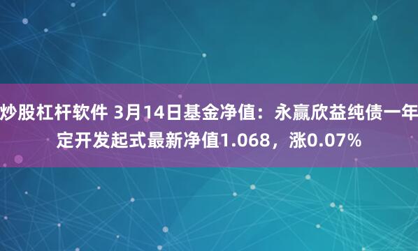 炒股杠杆软件 3月14日基金净值：永赢欣益纯债一年定开发起式最新净值1.068，涨0.07%